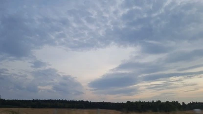 Guided Meditation Sessions